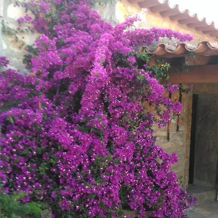 Casa De Chanca *