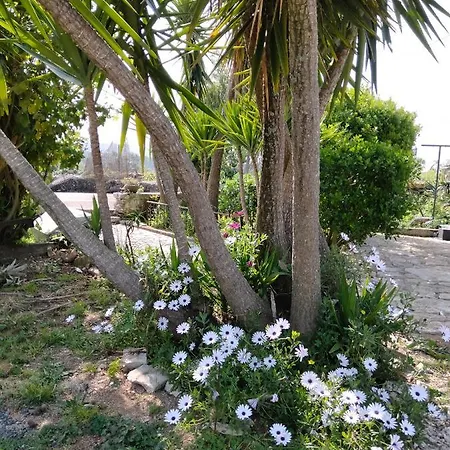 Casa De Chanca Lodge Penela